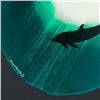 Image 2 : Dolphin Glide By Wyland Original