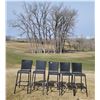 Image 1 : Five Outdoor Plastic Wicker Bar Stools
