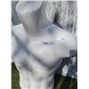 Image 2 : Male Mannequin Torso (Some Cracks But Still Functionable)