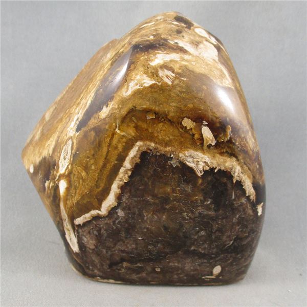 Polished Petrified Wood Stand Up Manitoba