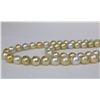 Image 3 : 9-13mm South Sea White and Gold Near Round Necklace with Gold Clasp