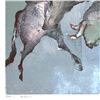 Image 2 : Untitled by Salomon (1935 - 2014)