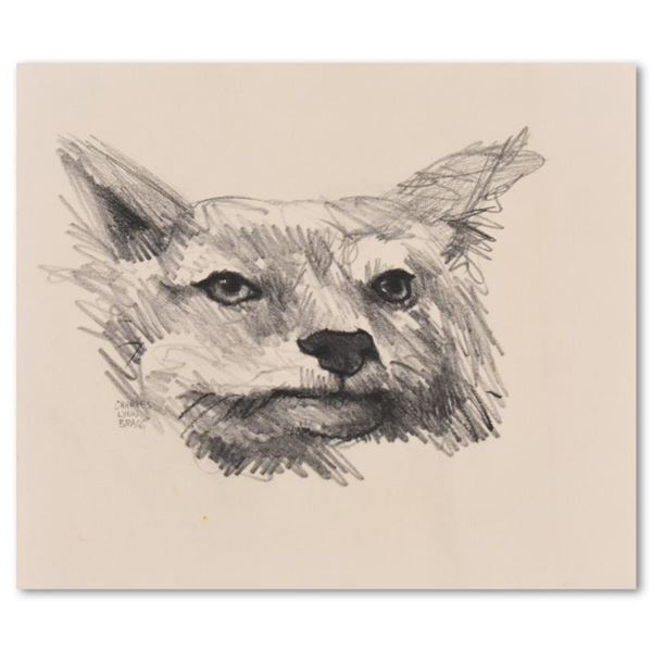 Foxy By Bragg Original