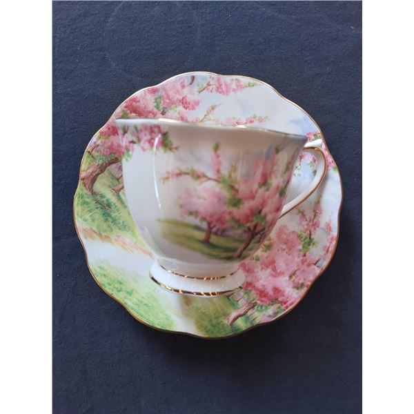 Royal Albert Bone China England "Blossom Time" Cup and Saucer