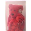 Image 2 : Large and Small Beanie Baby in Case