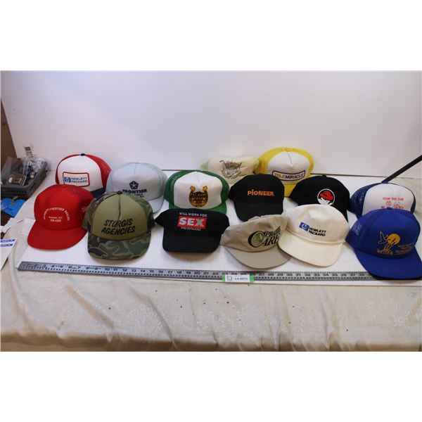 Lot of (14) Hats Trucker, Snapbacks