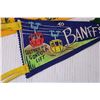 Image 2 : Lot of Vintage Travel Pennants (Banff, Moose Jaw, San Diego, Brandon)