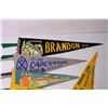 Image 3 : Lot of Vintage Travel Pennants (Banff, Moose Jaw, San Diego, Brandon)