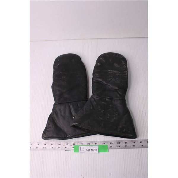 Pair of Leather Mitts