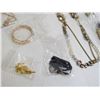 Image 7 : Assorted Costume Jewelry Pieces