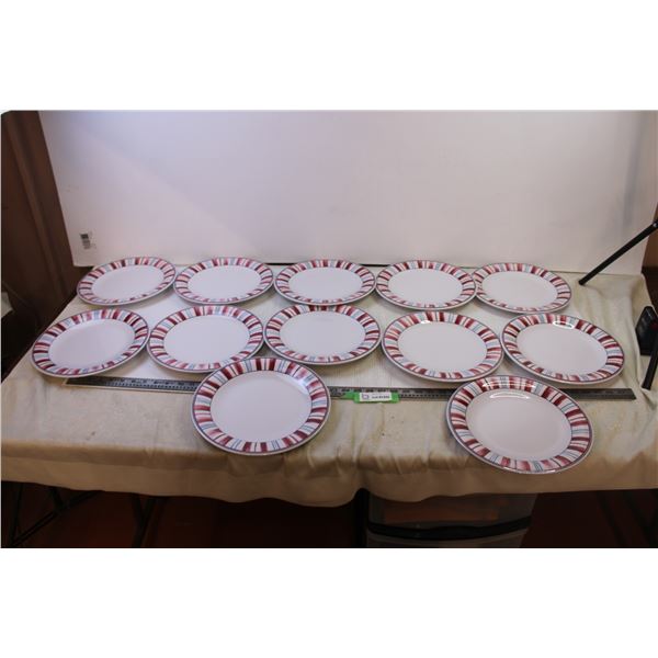 (12) Plastic Plates