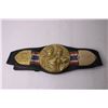 Image 3 : Wrestling Belt