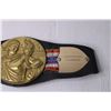 Image 4 : Wrestling Belt