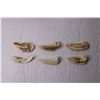 Image 3 : (6) Shark Teeth
