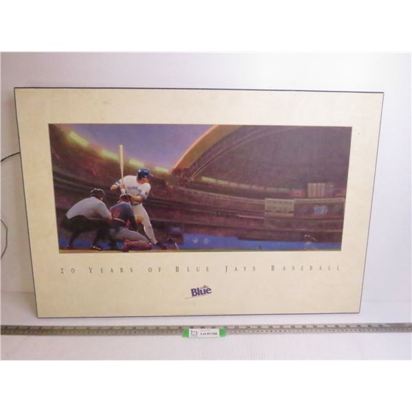 20 Years of Blue Jay's Baseball Picture (Labatt Blue 20  x 30 )