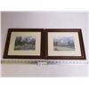 Image 1 : (2) Framed Prints