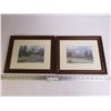 Image 1 : (2) Framed Prints