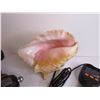 Image 2 : Ridged Drill no Battery - Conch Shell - Misc. Item