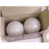 Image 3 : (4) Boxes of 2 Bulbs 40w