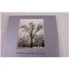 Image 2 : Ansel Adams At 100 Book