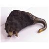Image 2 : Nature's Window - Collectable Figurine - Black Bear Coat Hanger (In original box)
