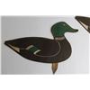 Image 3 : Gevelot Cardboard Water Fowl Decoys