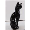 Image 3 : Brazilian Black Cat