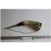 Image 1 : Vintage Drinking Horn