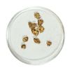 Image 1 : Gold Nuggets 1.63 Grams Total Weight