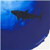 Image 2 : Wyland "Shark Rising" Original Watercolor On Paper