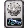 Image 2 : 2021(P) Type 1 $1 American Silver Eagle Coin NGC MS70 Struck at Philadelphia