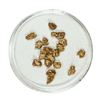 Image 1 : Gold Nuggets 3.18 Grams Total Weight