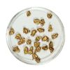 Image 1 : Gold Nuggets 3.84 Grams Total Weight