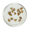 Image 1 : Gold Nuggets 2.85 Grams Total Weight