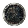 Image 1 : 2010 $1 American Silver Eagle Coin Nice Toning