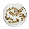 Image 1 : Gold Nuggets 4.81 Grams Total Weight