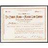 Image 1 : Panama Mining and Mineral Land Co. 1906 I/U Stock Certificate