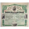 Image 1 : Central Appalachian Co. Ltd., 1892, I/U Stock Certificate