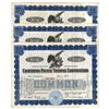 Image 2 : California Pacific Trading Corp., 1929 I/C Stock Certificate Group.