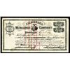 Image 1 : Pittsburgh Metallurgy Co., 1893 I/U Stock Certificate.