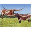 Image 1 : PAIR OF TROPHY STEERS