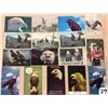 Image 2 : Animals - Birds - Eagles 70 Postcards