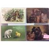 Image 1 : Animals - Cats & Kittens Album Approx. 50 Postcards