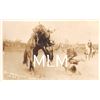 Image 1 : Photo Lady Bronco Buster "Thrown From Silver" Tragically Ending Her Life Postcard