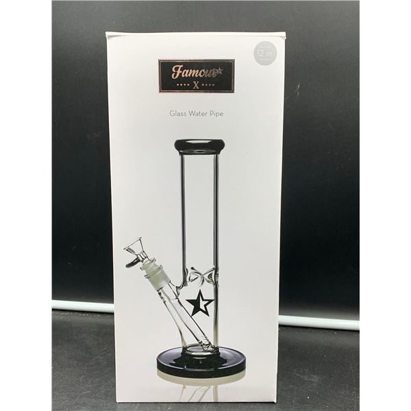Famous Glass Water Pipe (12in)