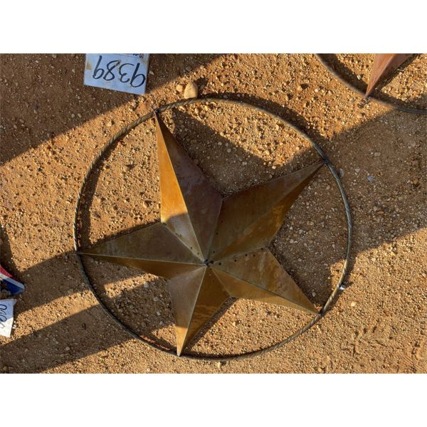 3' LONE STAR SIGN