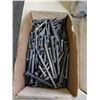 Image 2 : 4 BOXES OF LAG SCREWS AND BOLTS