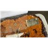 Image 8 : 2 BURL CLOCKS