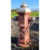 Image 1 : CANADIAN LUDLOW FIRE HYDRANT 