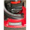 Image 3 : Noma Brute 4 in 1 Lawnmower